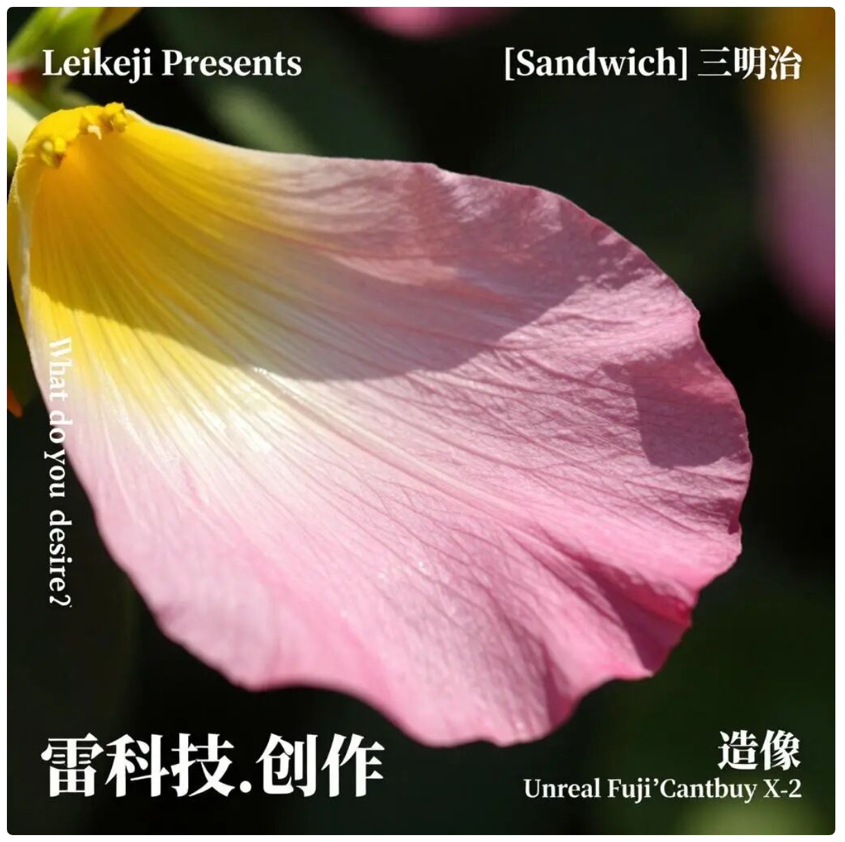 Excellent Bilingual Text Rendering